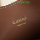 Luxe Touch Bags Fashion -BBR Bags - 366