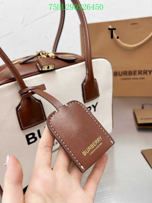 Luxe Touch Bags Fashion -BBR Bags - 288