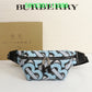 Luxe Touch Bags Fashion -BBR Bags - 612