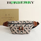 Luxe Touch Bags Fashion -BBR Bags - 625