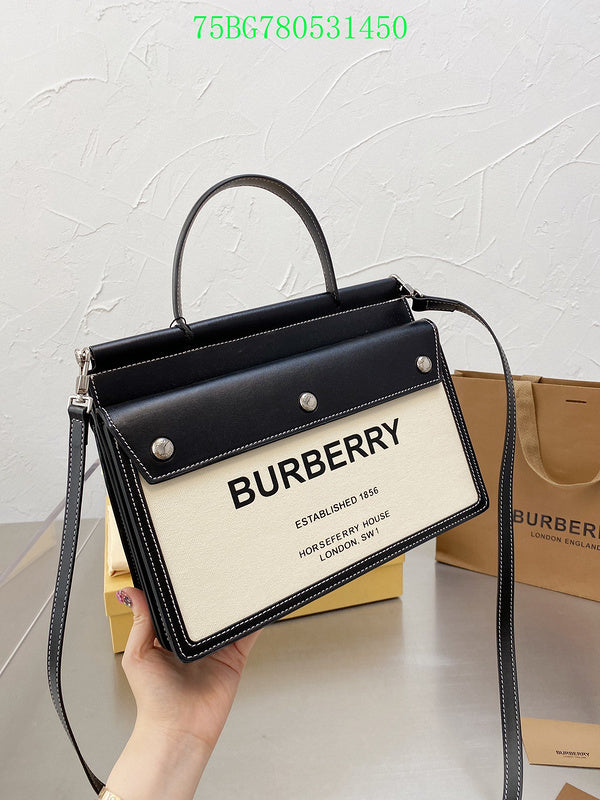 Luxe Touch Bags Fashion -BBR Bags - 487
