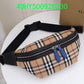 Luxe Touch Fashion -BBR Bags - 646