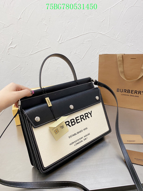 Luxe Touch Bags Fashion -BBR Bags - 487