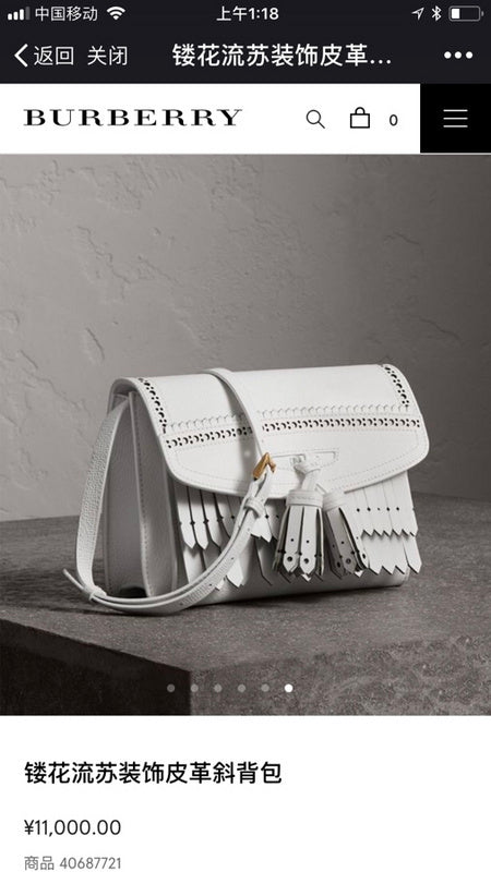 Luxe Touch Bags Fashion -BBR Bags - 1163