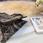 LTB - Luxe Touch Bags - 2082