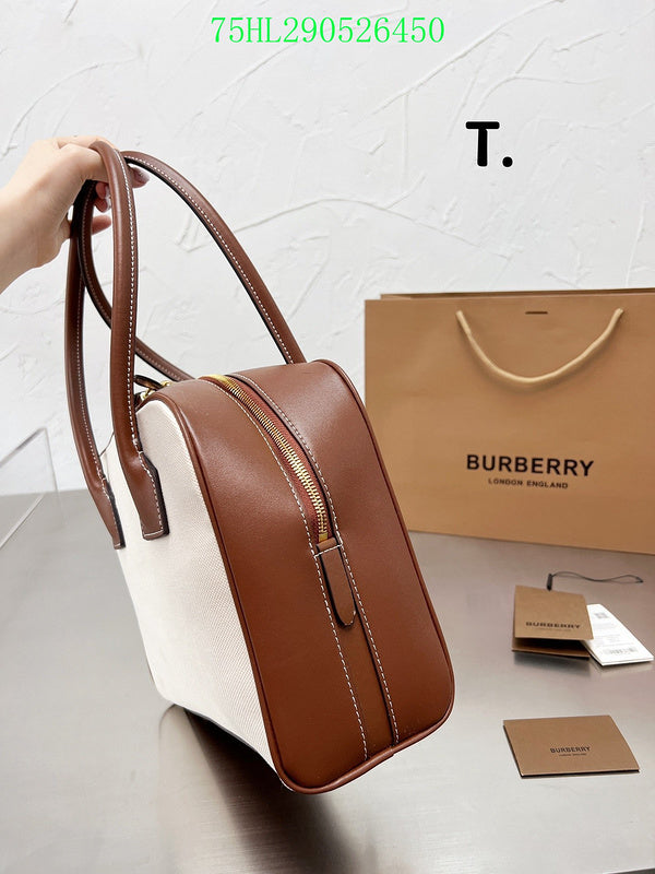 Luxe Touch Bags Fashion -BBR Bags - 288