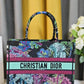DIR Book Tote Blue Multicolor Toile de Jouy Voyage Embroidery 1286