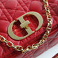 DIR 2023 Caro red real leather sling shoulder bag
