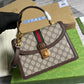 GG gold BB shoulder crossbody bag brown Co branded style 680119