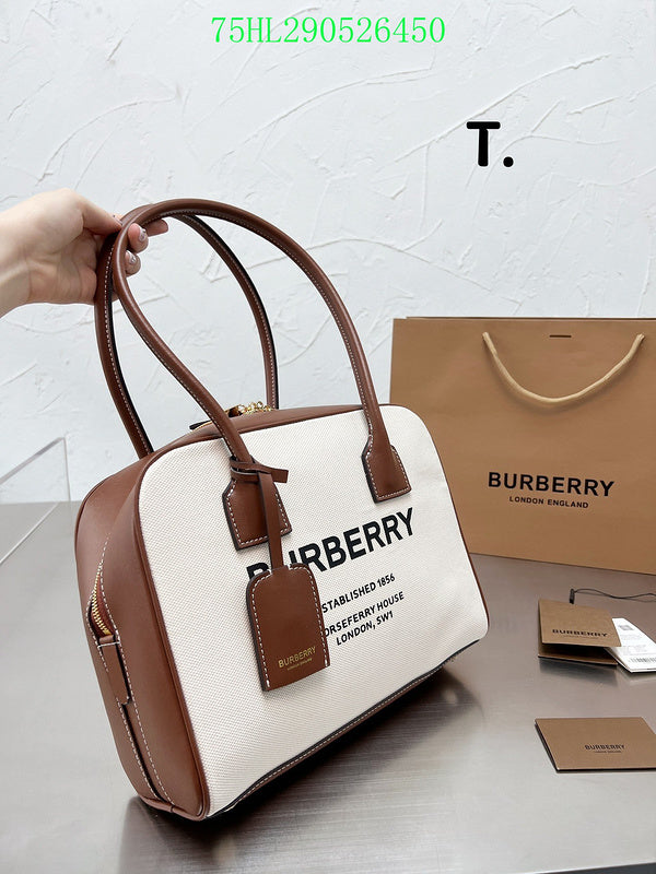Luxe Touch Bags Fashion -BBR Bags - 288