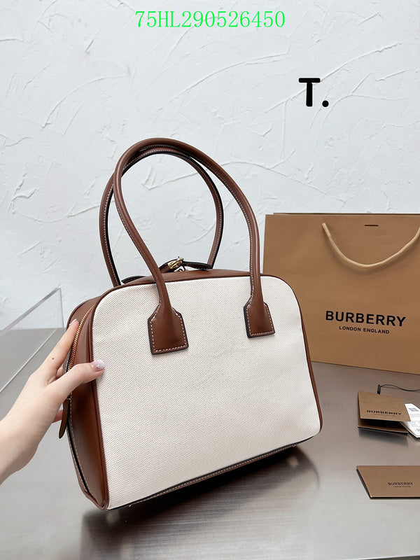 Luxe Touch Bags Fashion -BBR Bags - 288