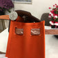 RBS- Fashion New Arrival Bag - HMS - 108