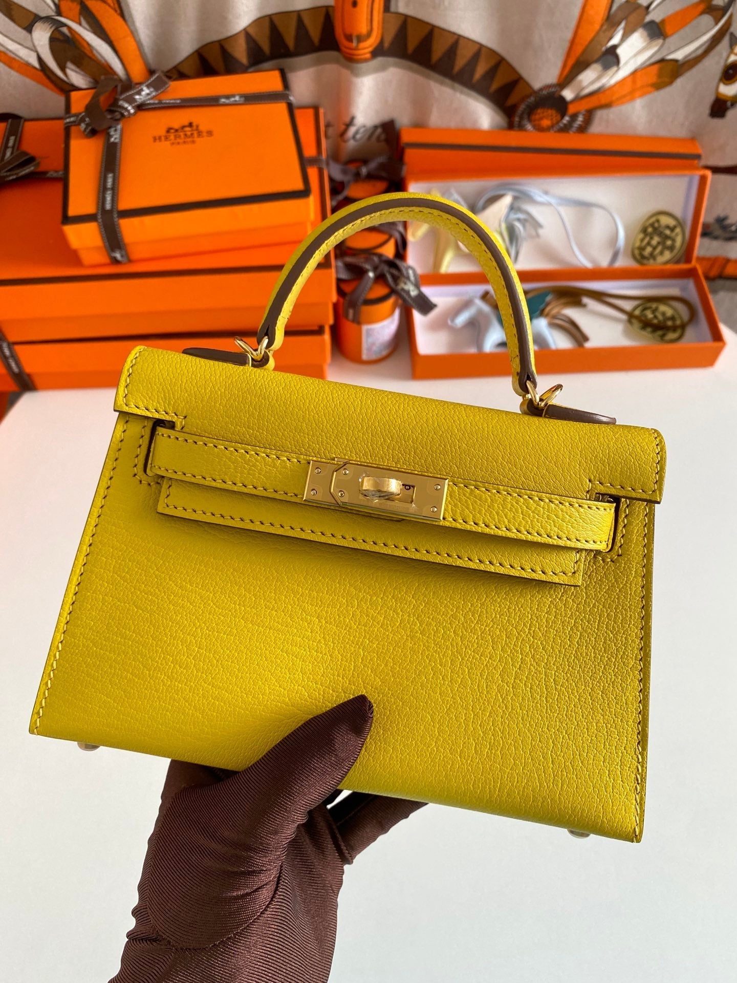 Luxe Touch- Fashion New Arrival Bag - HMS - 046