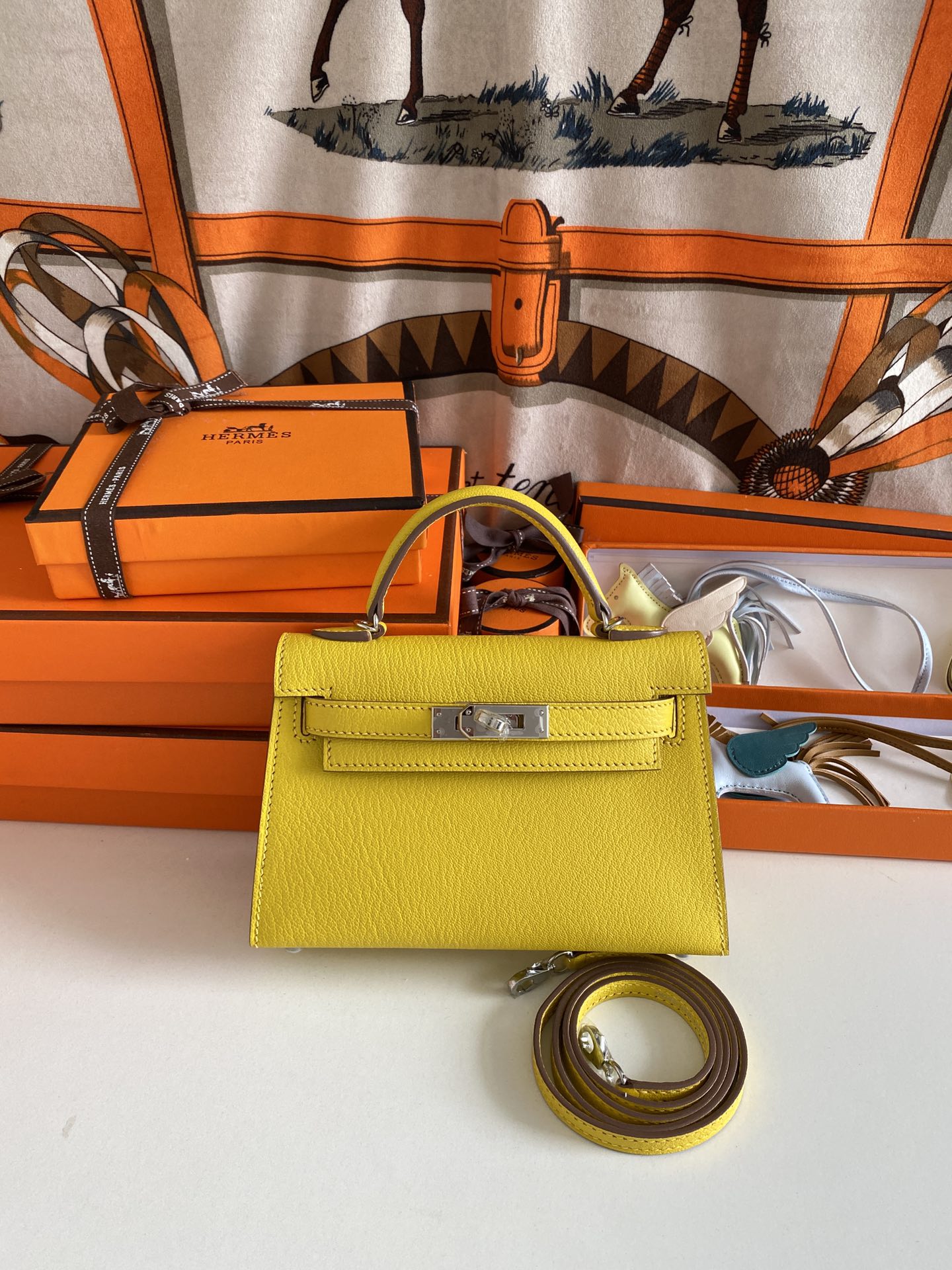 Luxe Touch- Fashion New Arrival Bag - HMS - 045