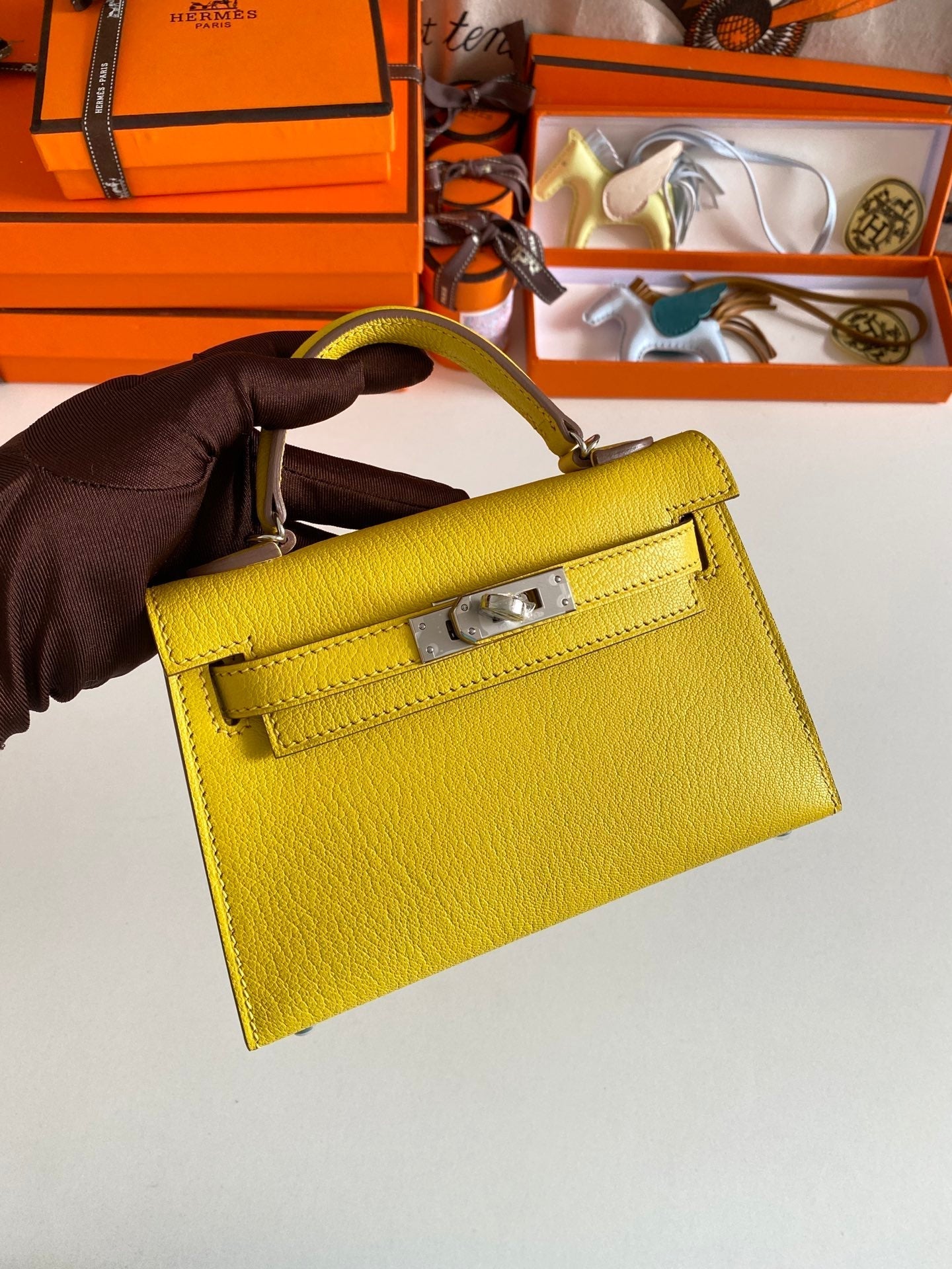Luxe Touch- Fashion New Arrival Bag - HMS - 045