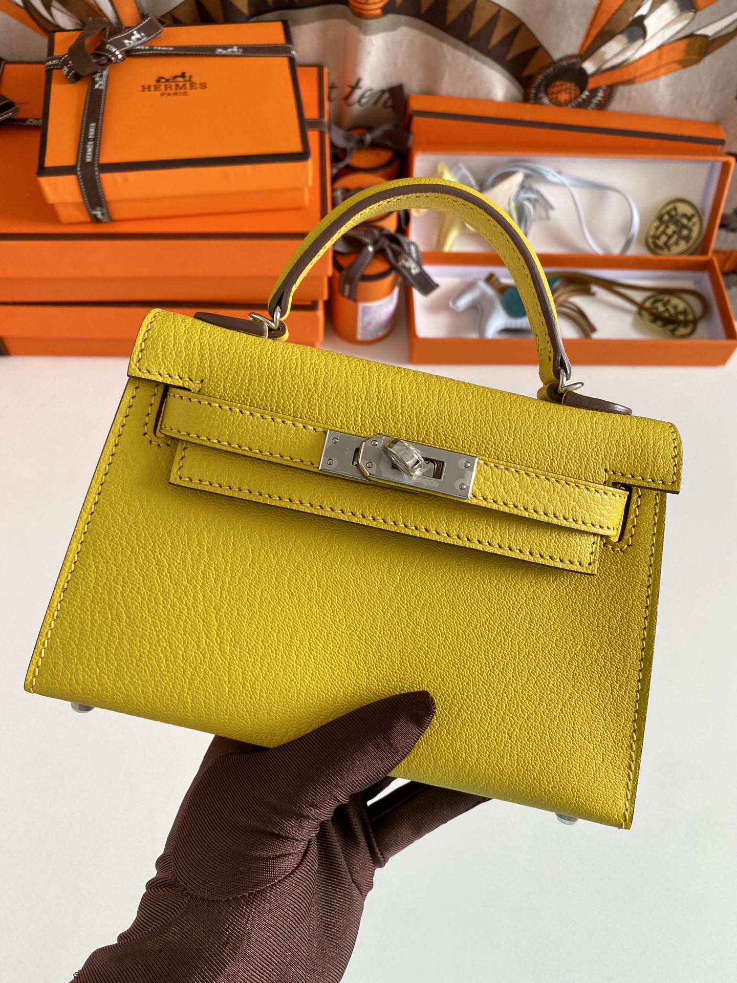 Luxe Touch- Fashion New Arrival Bag - HMS - 045
