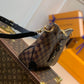 M45354 ODÉON PM coffee brown damier 28CM