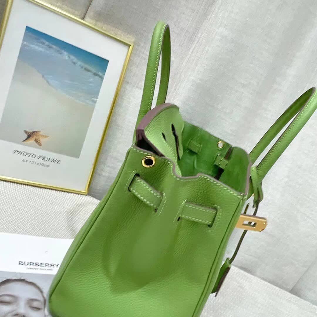 Razauss BIRKIN 30- TOGO- ANEMONE