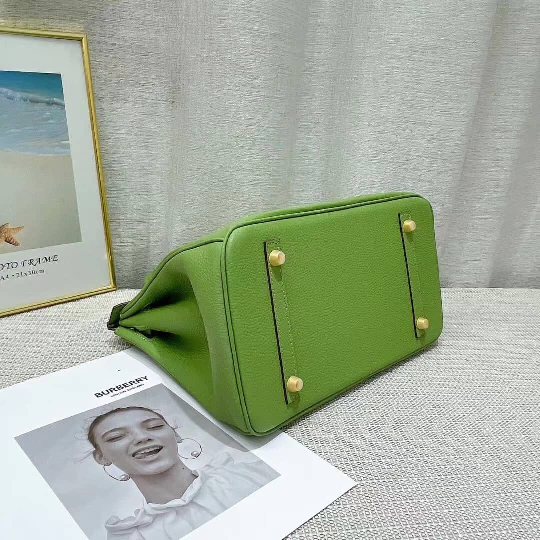 Razauss BIRKIN 30- TOGO- ANEMONE