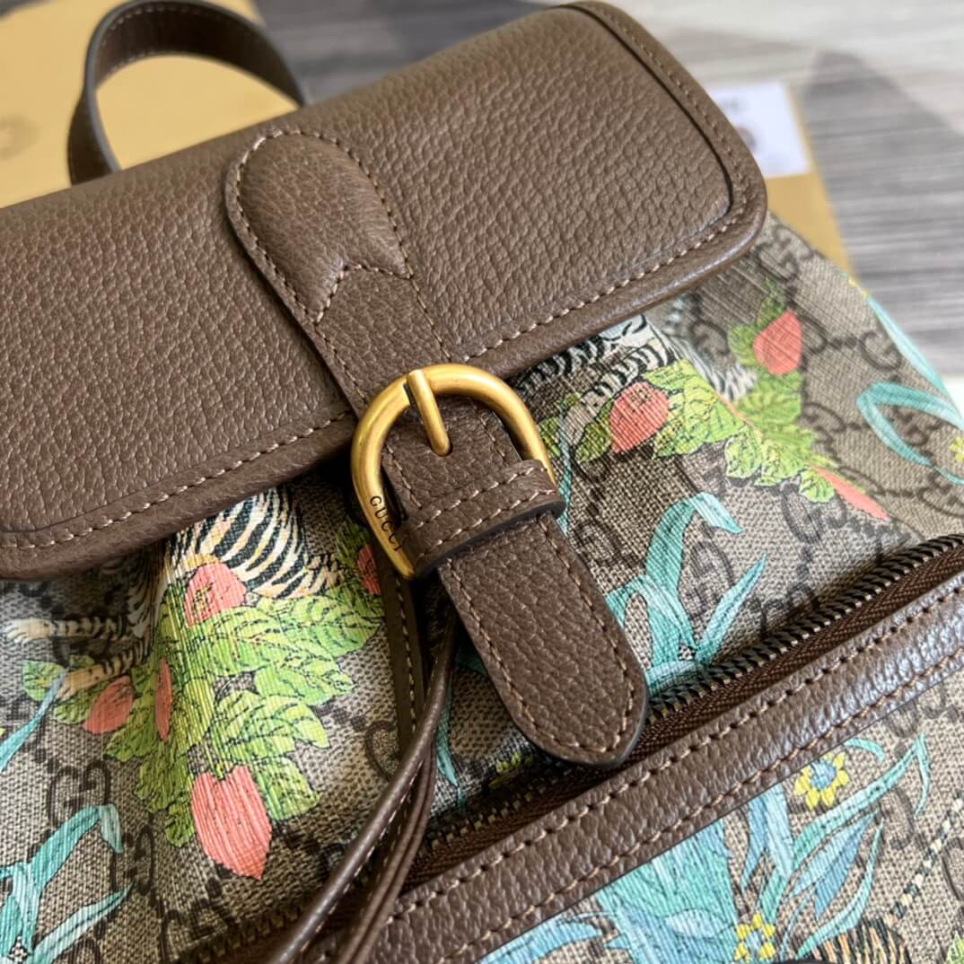GC674147 backpack brown