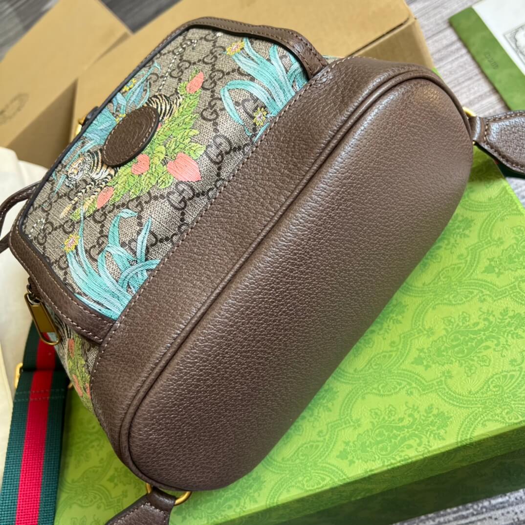 GC674147 backpack brown
